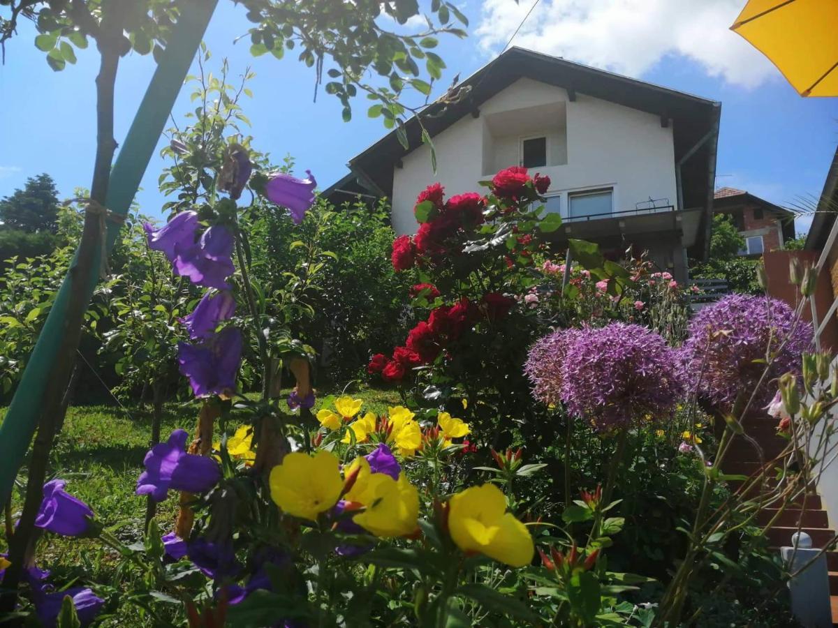 Smjestaj Bahat Varazdinske Toplice Bagian luar foto